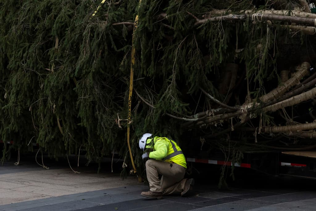 Antes de cortarlo, la famlia Albert realizó una ceremonia para dedicarlo a la memoria de Lesley, su matriarca y amante de la temporada navideña como pocas. La mujer murió en 2020 y su viudo recibió "una señal" para donarlo.