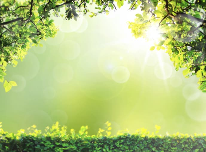 La estela de color verde que dejan las Leónidas se asocia con el principal color de este signo y actúan como un verdadero calibrador de la salud.