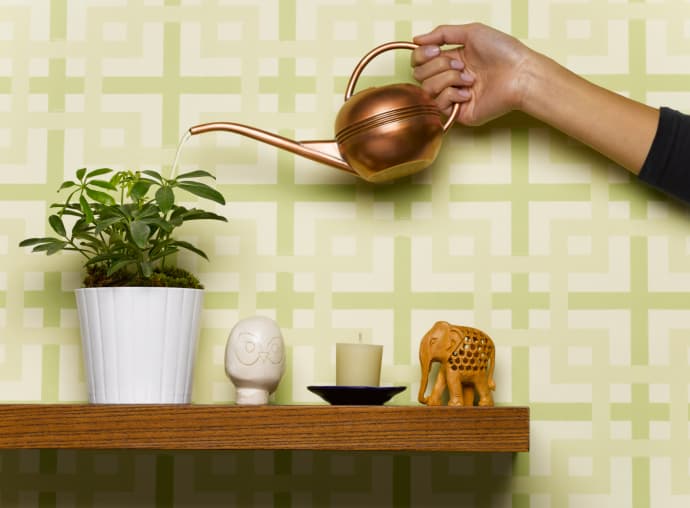 El plano sentimental se expresa en el romance. Para acentuar la energía de las Leónidas se recomienda tener algo verde en casa, o bien plantas interiores, bien regadas y cuidadas, alguna piedra de malaquita, jade verde o aventurina, así como esmeraldas, quien las tenga, y en ese caso colocarlas junto a velas aromáticas de color verde con fragancia de menta.