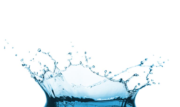 Signos del elemento agua (Cáncer, Escorpión y Piscis)