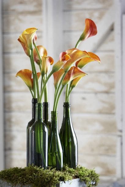 Campestre. Este arreglo encajaría muy bien en un festejo al aire libre. Las botellas tienen un toque entre antiguo y rústico. El color verde, además, parecería continuar el tallo y ayuda a resaltar los tonos vivos de las flores.
