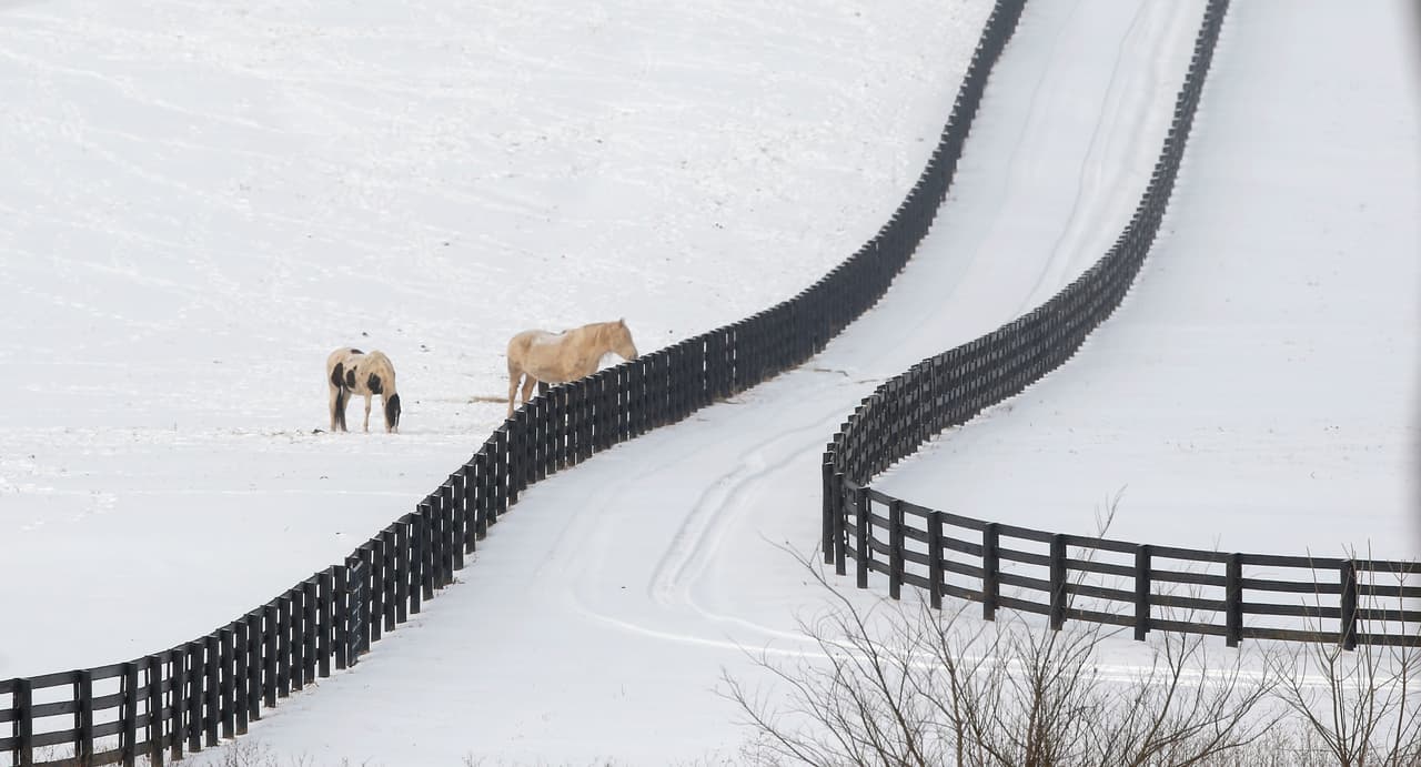 La ciudad de Lexington, en Kentucky, recibió casi 4 pulgadas de nieve.