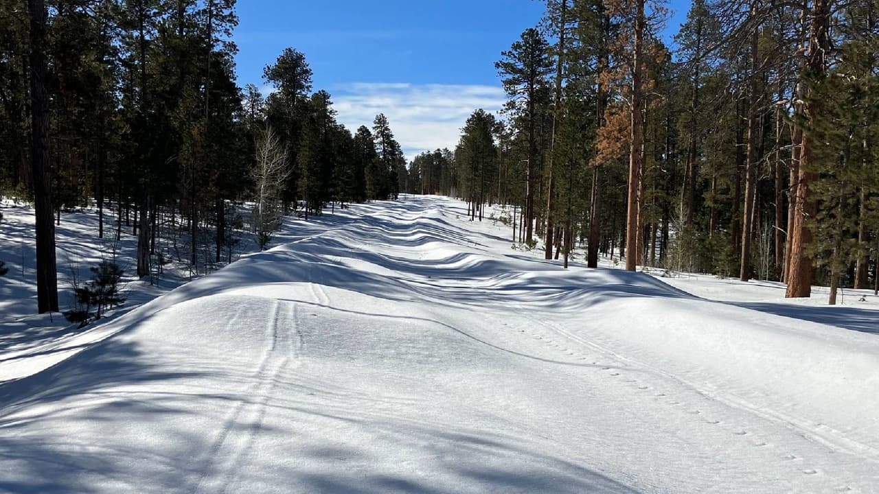 El Departamento de Transporte de Arizona cerrará la Ruta Estatal 67 entre Jacob Lake (US 89A) y el Borde Norte del Parque Nacional del Gran Cañón el lunes 4 de diciembre.