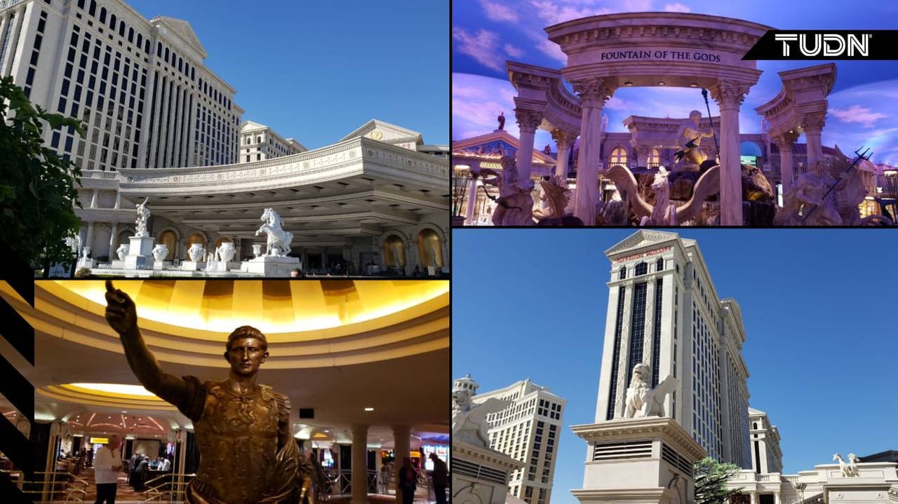 Los combates más importantes: ‘Sugar’ Ray Leonard peleó ante Wilfred Benítez, Thomas Hearns y Marvin Hagler; Óscar de la Hoya venció a Julio César Chávez; Evander Holyfield peleó con Riddick Bowe.