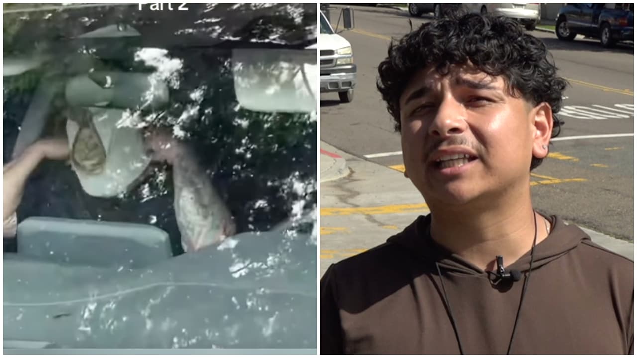 Video muestra a activista que pide refugio en escuela durante operativo migratorio