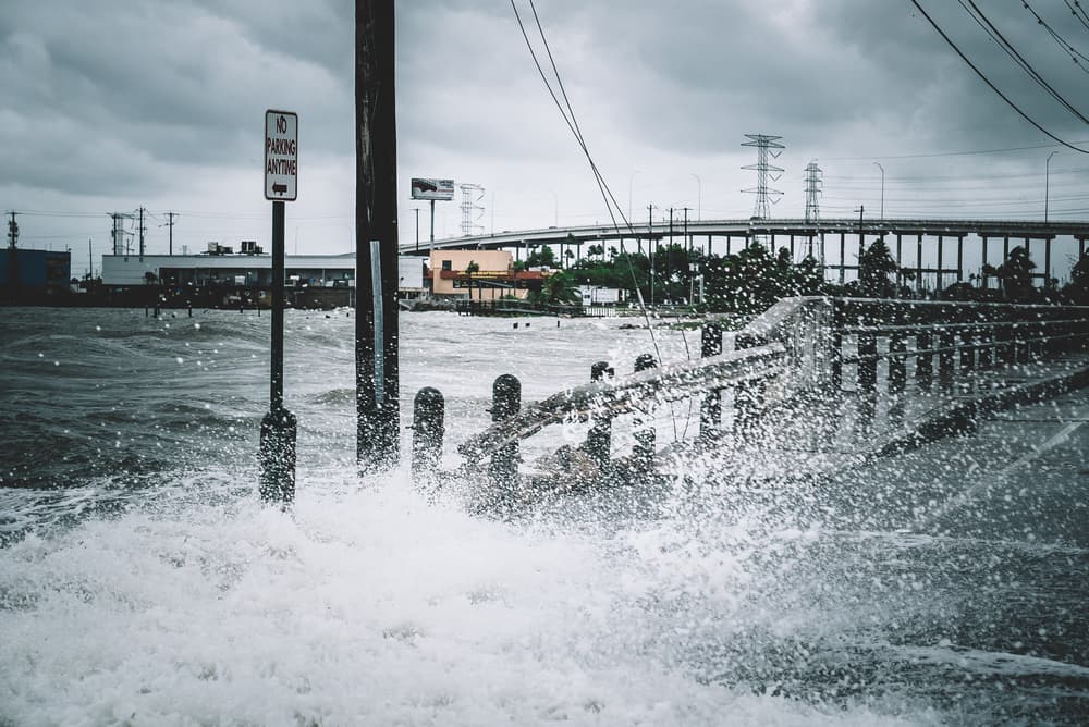 Por supuesto que estar bajo la acción destructiva del viento y la lluvia, las inundaciones y el tremendo estrés que causa a todos: adultos, niños, mascotas, no se debe tomar a la ligera. Sin embargo, la milenaria filosofía zen del budismo nos enseña como aún de las peores situaciones siempre podemos aprender algo y sacarle su lado positivo.