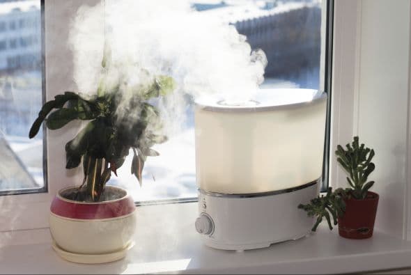 ¿Labios agrietados y manos secas? ¡Compra un humidificador!