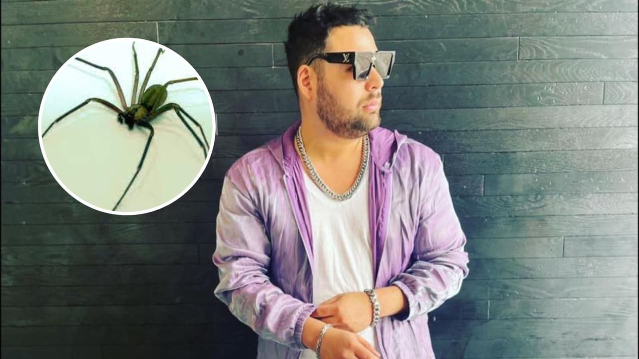 Cantante de Atlanta casi pierde la pierna tras mordedura de una araña