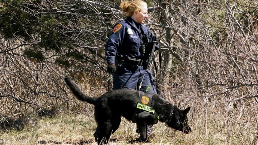 Imagen de archivo que muestra a un perro y a su agente manejadora buscando en marzo de 2011 cerca de una playa de Long Island pistas sobre la muerte de 11 personas relacionadas con los asesinatos de Gilgo Beach.