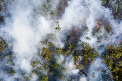 Emiten aviso por bandera roja ante la posibilidad de incendios de maleza en el centro sur de Texas