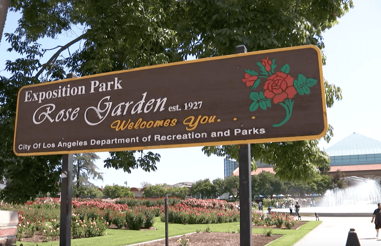 En el parque se realizan eventos que incluyen desde bodas hasta sesiones de fotografías, con previa autorización.