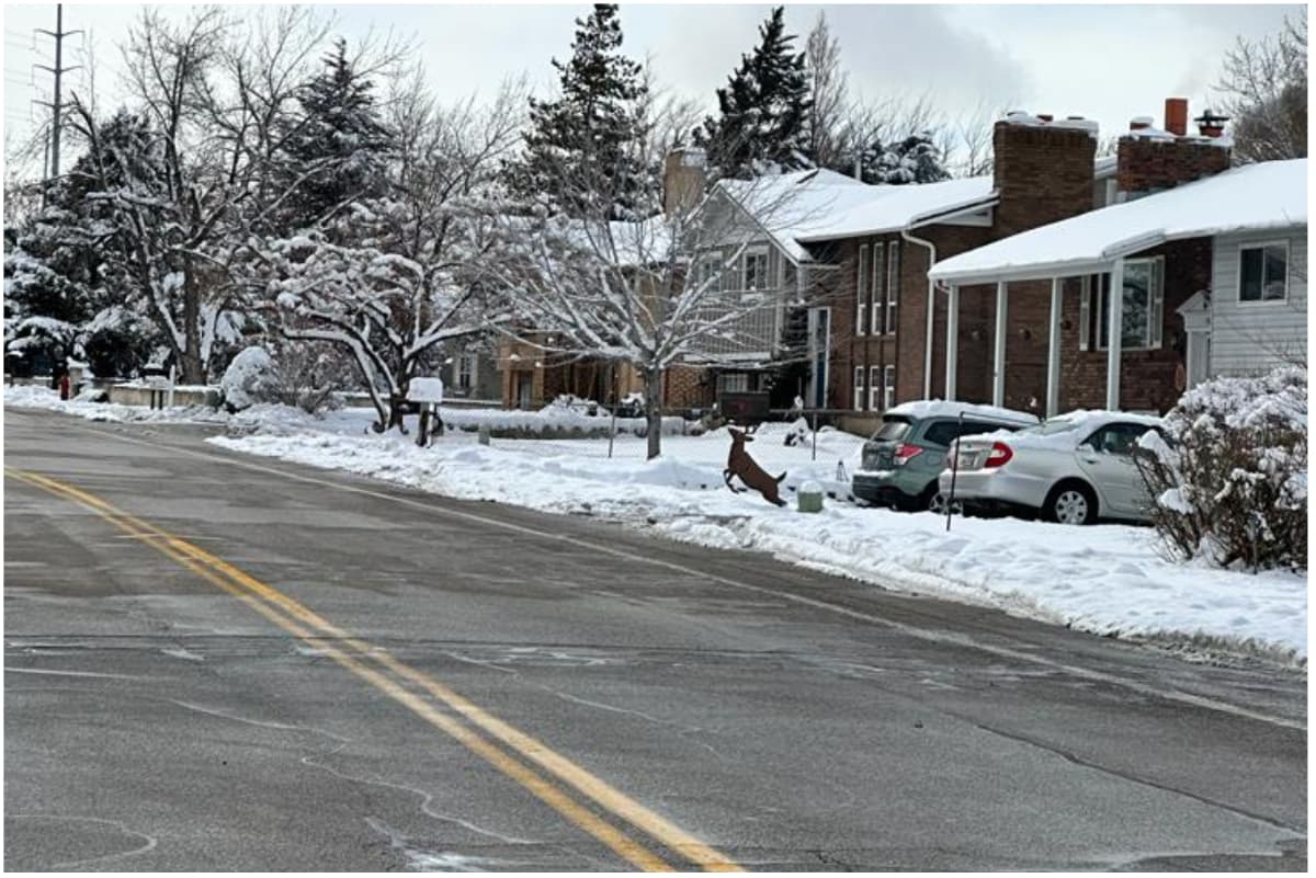 Hay un 40% de probabilidades, según el Servicio Meteorológico Nacional, de que caiga un poco más de nieve durante estos días.