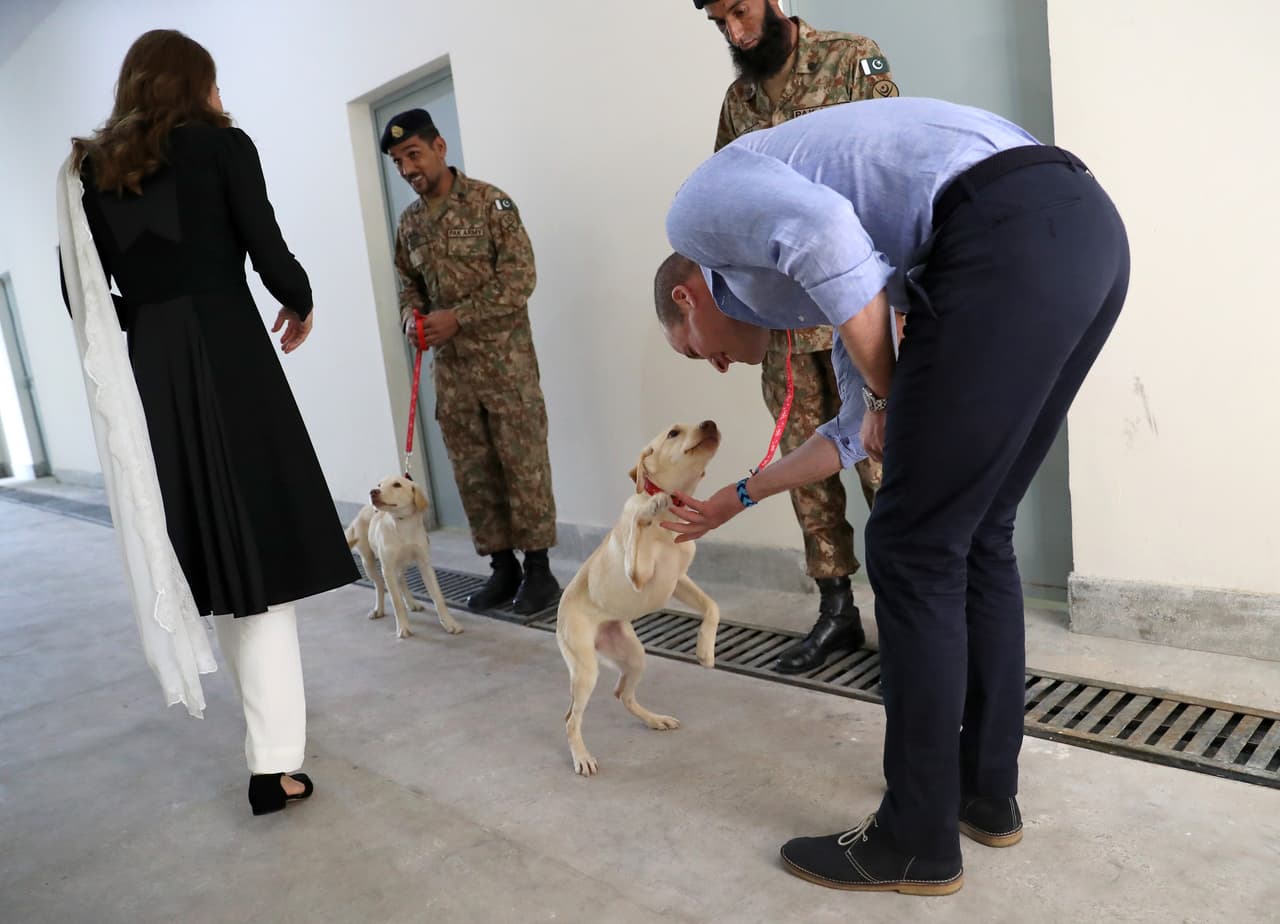 El diario británico señaló que este centro canino sigue el mismo modelo de su par en el ejército británico en Melton Mowbray, Leicestershire.