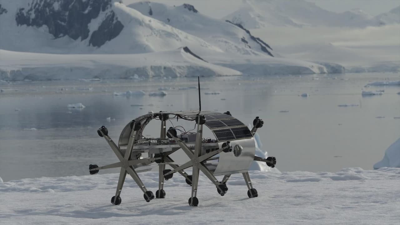 Un Quijote en la Antártida:  el latino que combate el calentamiento global con arte