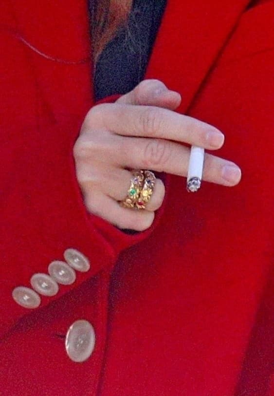 Su particular juego de anillos de matrimonio, reafirmó que era la gemela casada con Oliver Sarkozy.