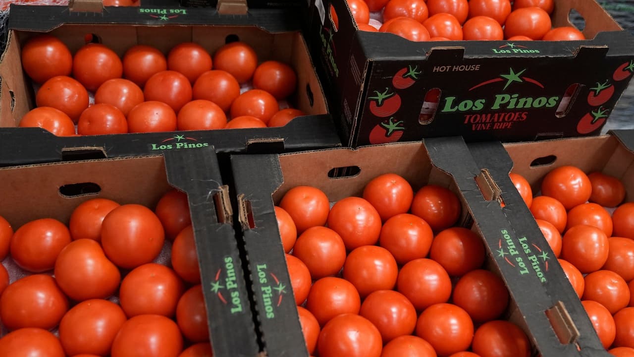 Consumidores en California pagarían más por jitomates tras nuevo impuesto a importaciones mexicanas