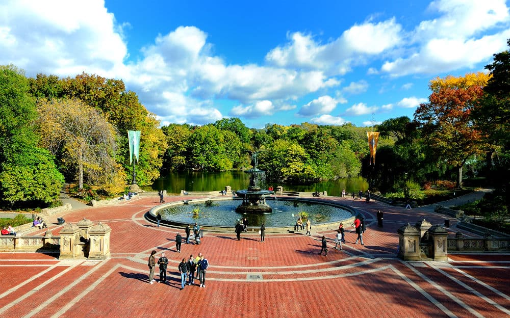 Número 2: New York, New York La llamada capital del mundo es siempre un destino ideal para visitar en familia. Pese a que los hoteles no son baratos, hay muchísimas actividades para chicos y grandes que son gratuitas. Conciertos en los parques, fiestas en las plazas, visitas a la playa y por supuesto, recorridas por Central Park.