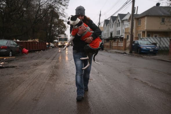 El huracán 'Sandy' pasó por Estados Unidos y dejó alrededor de 120 muertos, así como daños que se han cuantificado en millones de dólares, informó Reuters.