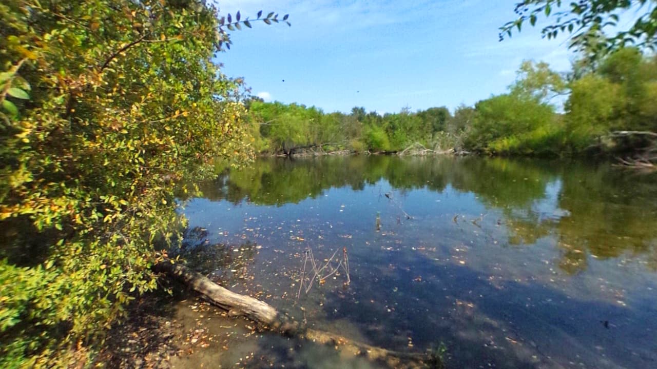 A 20 millas del centro de Dallas, se encuentra la reserva Natural de Arbor Hills en Plano, ofrece 200 acres de tranquilidad y desconexión del ritmo de la ciudad. 
<br>