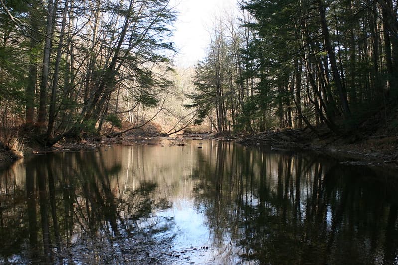 El personal de Jacobsburg ofrece programas para estudiantes desde preescolar hasta la universidad, así como programas comunitarios centrados en la recreación al aire libre y la historia natural y cultural de la zona.
<br>
<br>El Centro de Educación Ambiental de Jacobsburg es socio de Lehigh Valley Greenway, que busca involucrar a gobiernos estatales y locales y grupos de conservación sin fines de lucro para promover la conservación y educación de la tierra.
<br>