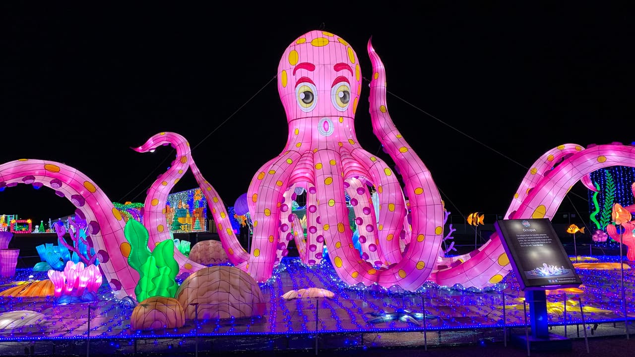 La exhibición está en un terreno que abarca 20 acres en el este de Houston.