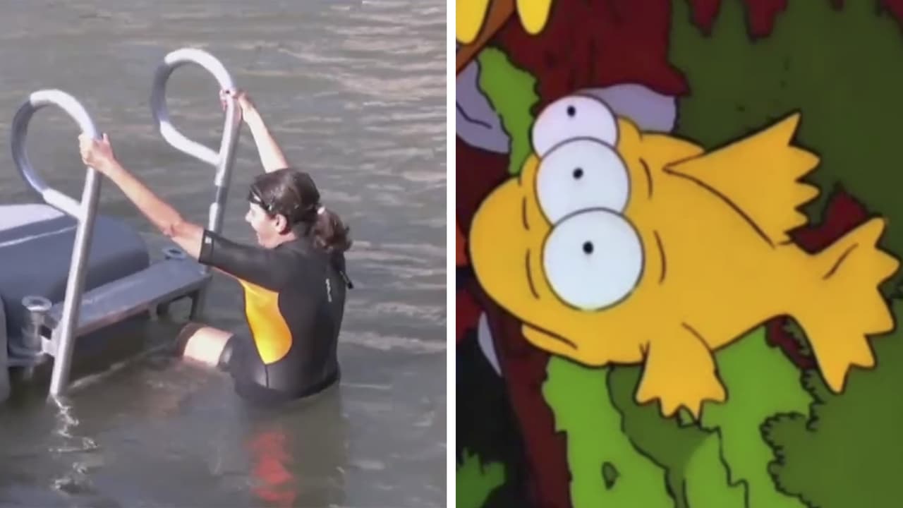 Alcaldesa de París nadó en el río Sena antes de los JO y los internautas dicen que "es asqueroso"