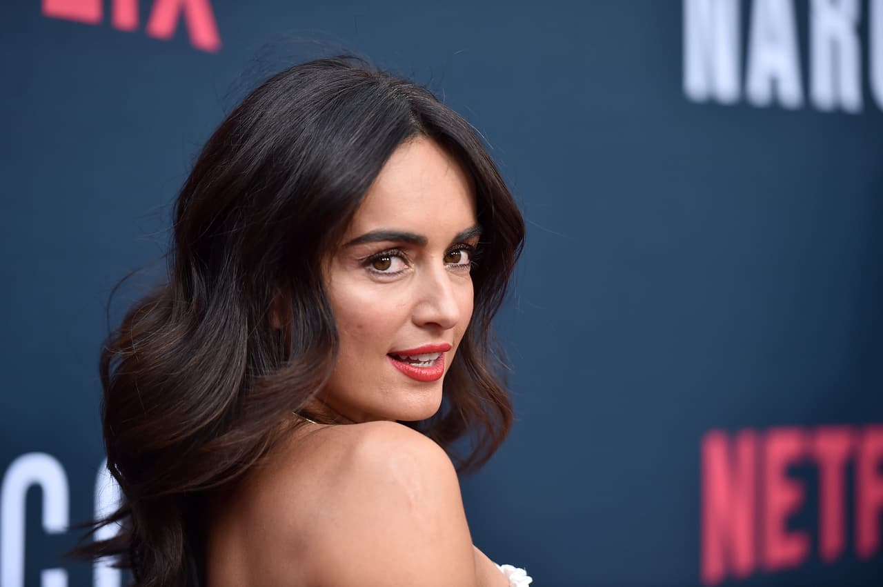 En la trama cuentan con bellezas como la de la impactante 
<b>Ana de la Reguera</b>, actriz mexicana que lleva el rol de una integrante de las FARC.