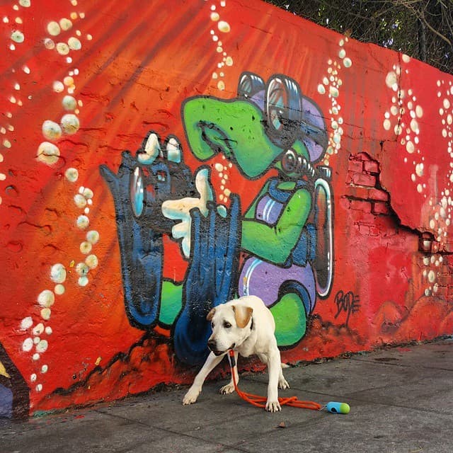 En el viaje que duró aproximadamente siete semanas, la mayoría del tiempo Poh la pasó en un carrito verde debido a los débil que lo dejaba la enfermedad.