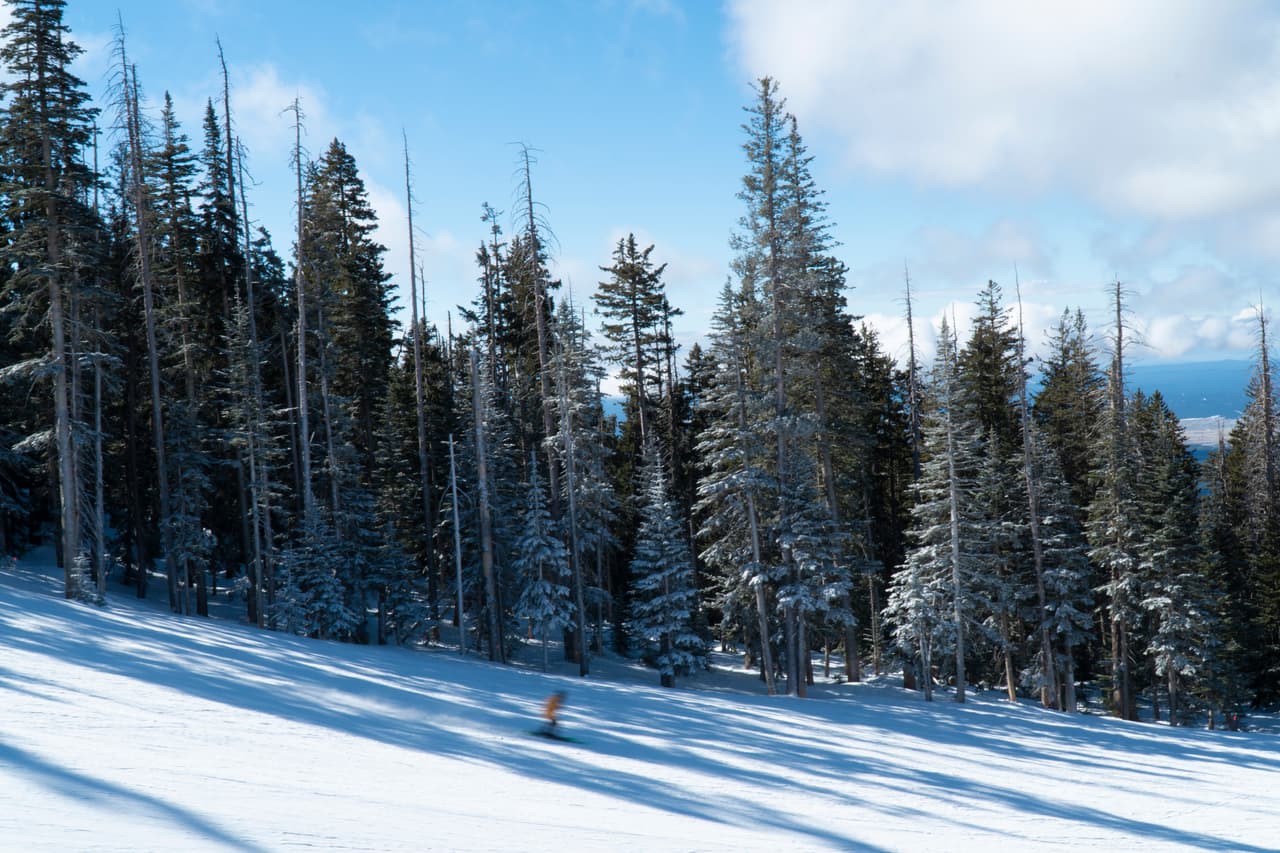 Arizona Snowbowl está ubicado a solo siete millas de Flagstaff, a dos horas de Phoenix y a 70 millas del Gran Cañón.
<br>