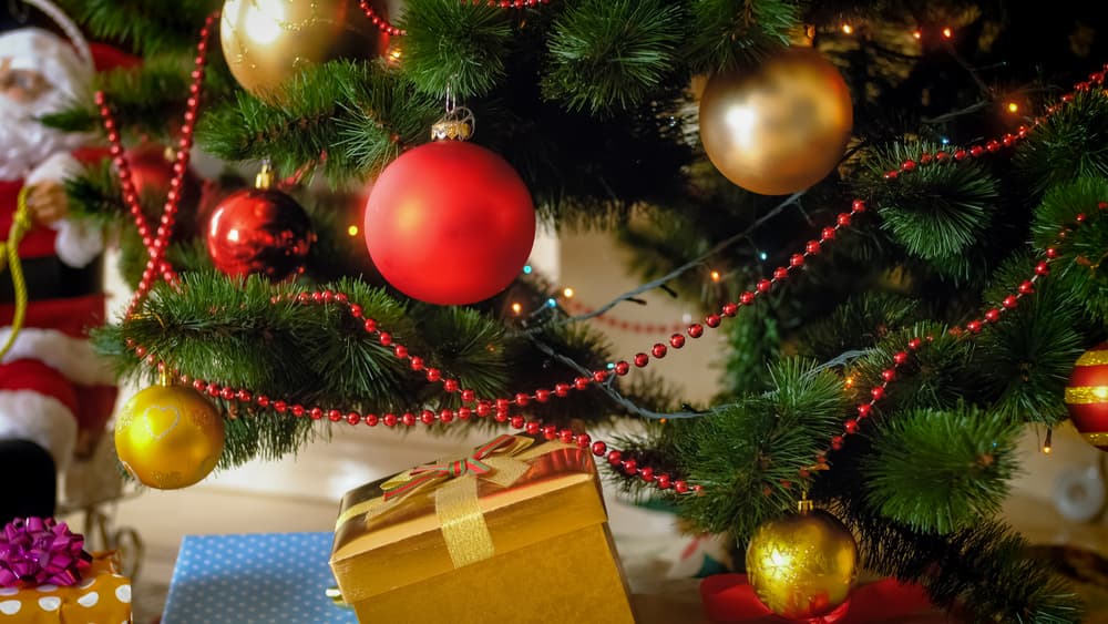 Los lazos representan la unión de las familias y personas queridas, para quienes se les pide unidad, amor y otros dones. Las luces, que al principio eran las velas y antorchas, ahora representan la luz de Cristo.