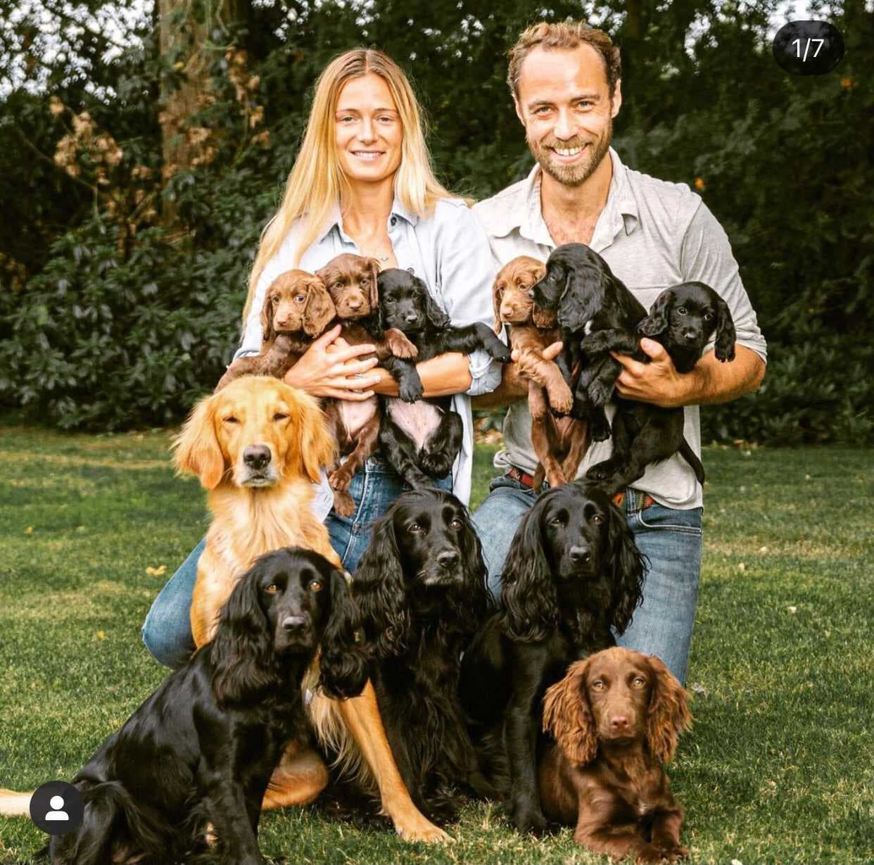 Según la información, James Middleton le habría dado 
<b><a href="https://www.instagram.com/p/CDCHJ5RAZvI/" target="_blank">uno de los seis cachorros</a></b> a su hermana con los que apareció en esta foto en julio pasado. 
<br>