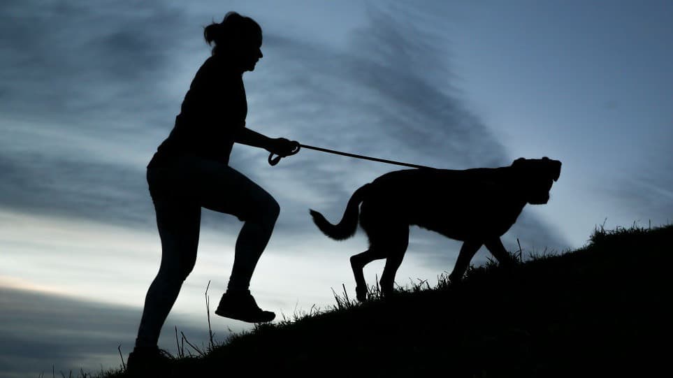Caminar reduce el riesgo de desarrollar diabetes tipo 2, según este estudio