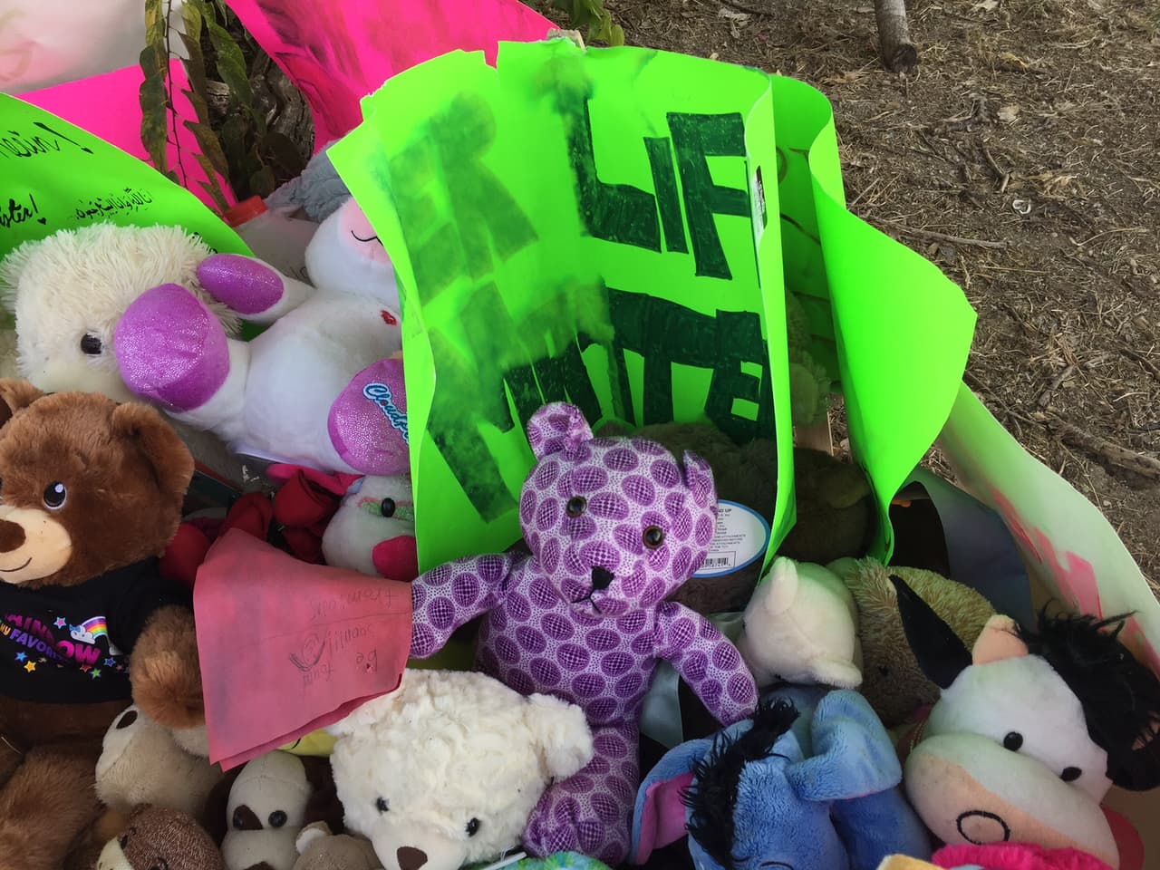 "Su vida importa", indica uno de los mensajes.