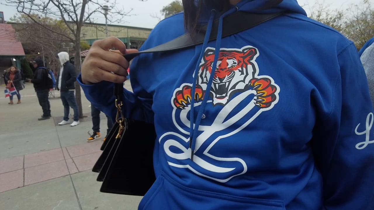 Donde los Tigres de Licey buscarán obtener la revancha.