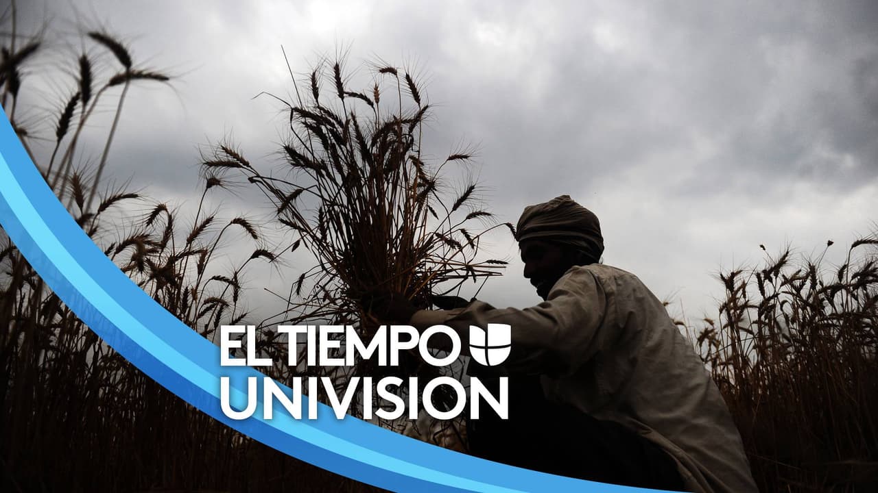 Actualización del tiempo: Condiciones de helada al amanecer del miércoles, periodos de sol y máximas en los 40's durante el día