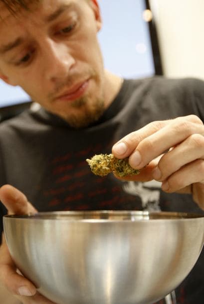 La legalización de la marihuana ha sido incluida en las boletas electorales de Washington, Oregón y Colorado. En cada caso se permitirá que los adultos posean pequeñas cantidades de marihuana bajo un sistema de regulación estatal y gravamen.