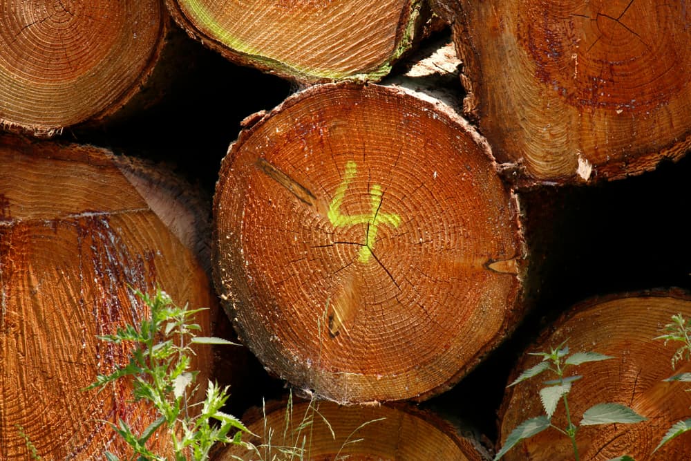 <h3 class="cms-H3-H3">Significado del número 4 </h3>
<br>El 4, en el mundo material está representado por el planeta Urano, las 4 estaciones del año, los puntos cardinales y los 4 elementos. Su energía se asocia con la suerte, el buen funcionamiento y la estabilidad. 
<br>