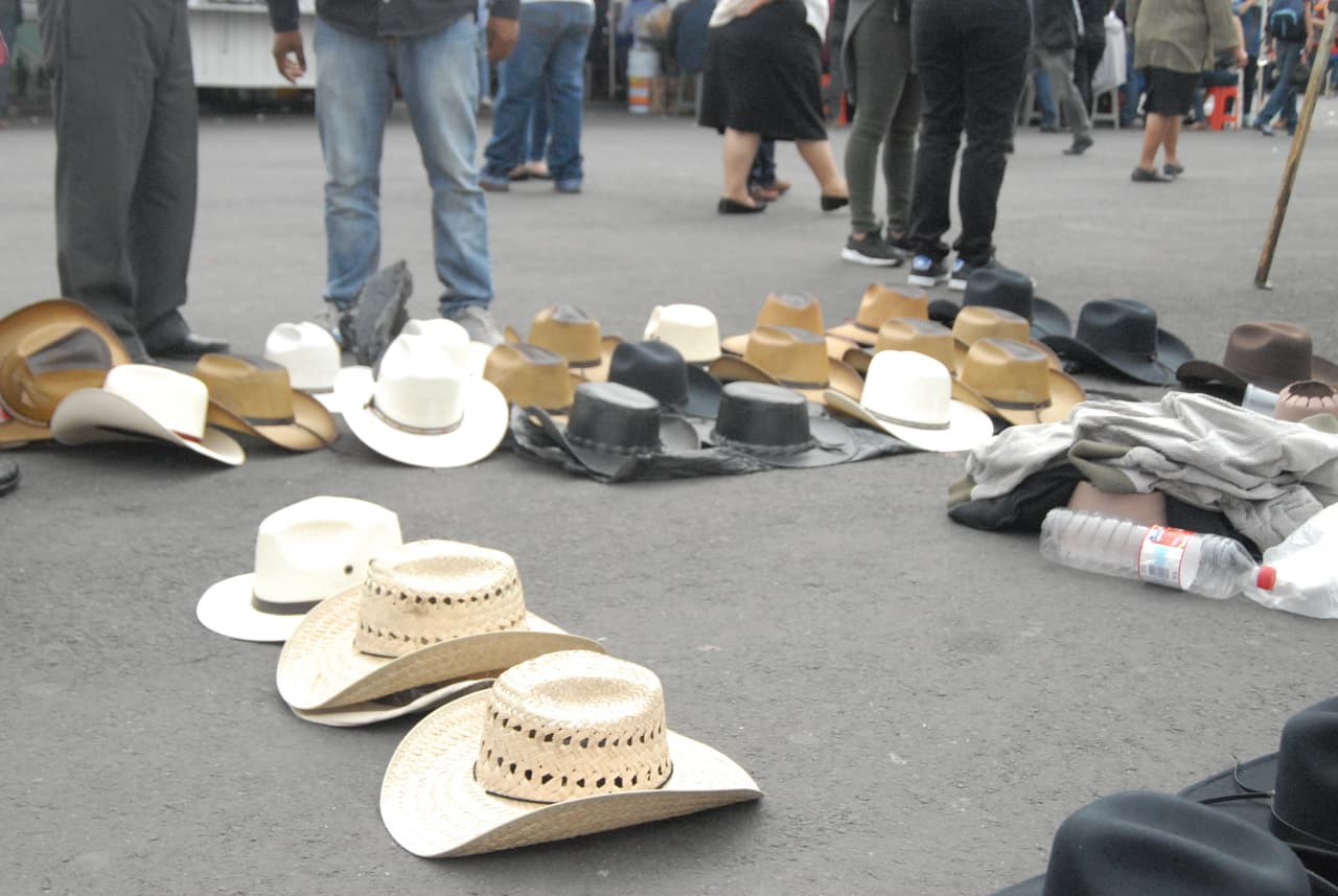 Se vendieron rapidísimo, en poco tiempo ya no quedaban muchos modelos.