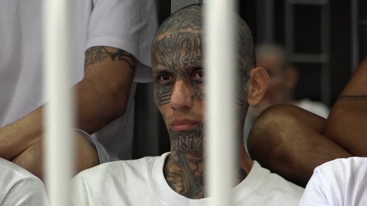 Bukele muestra la polémica megaprisión para pandilleros poco antes de prorrogar el estado de excepción