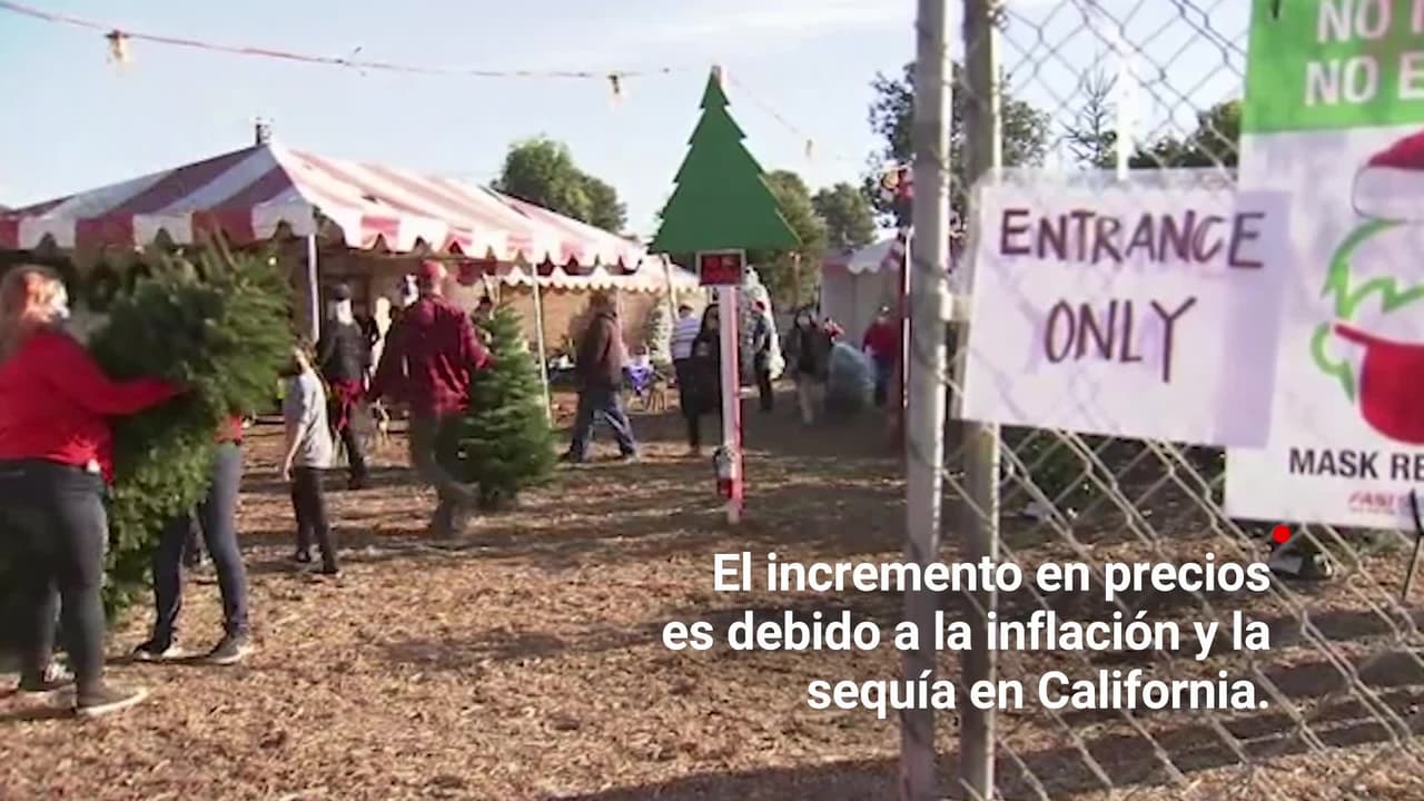 Los árboles de navidad costarán más para las festividades del 2022