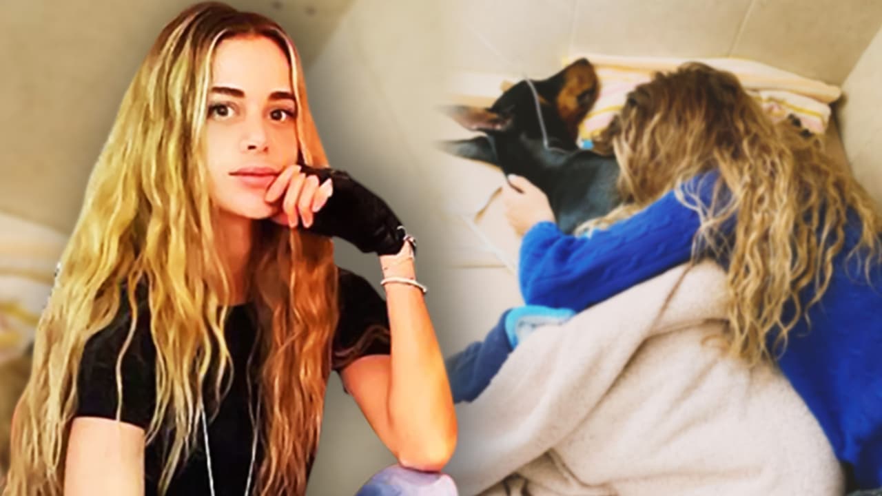 “Allá arriba se llevan un alma pura”: devastada la actriz Candela Márquez por la muerte de su “niño” Drako