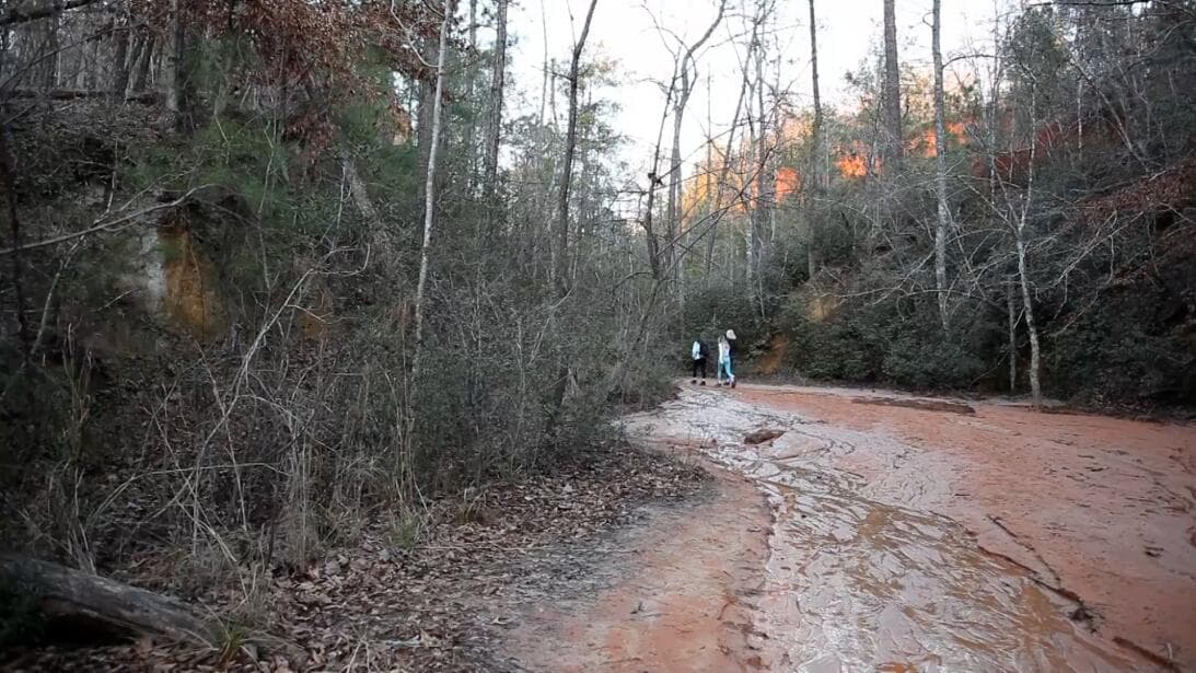 El parque cuenta con casi 10 millas de senderos y quienes exploran los cañones más profundos generalmente encontrarán una fina capa de agua a lo largo del camino.