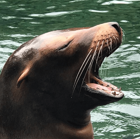 En pleno corazón de Manhattan está el Zoológico de Central Park donde conoció a esta amiguita que, como a ella, le encanta sonreír.