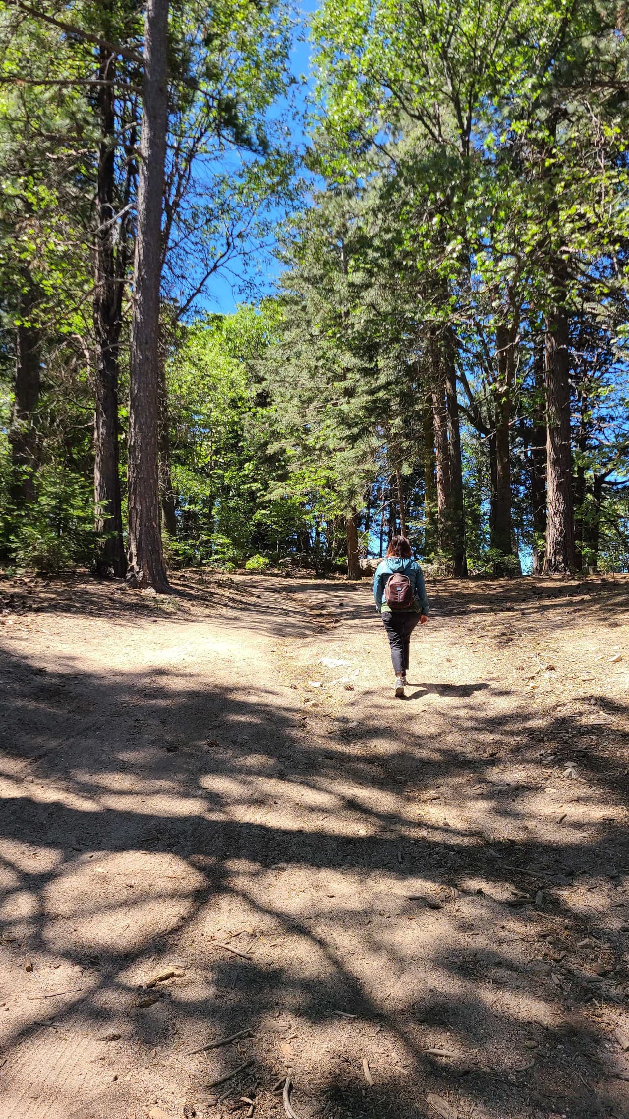 Además, existen numerosos senderos cercanos con diversos niveles de complejidad.