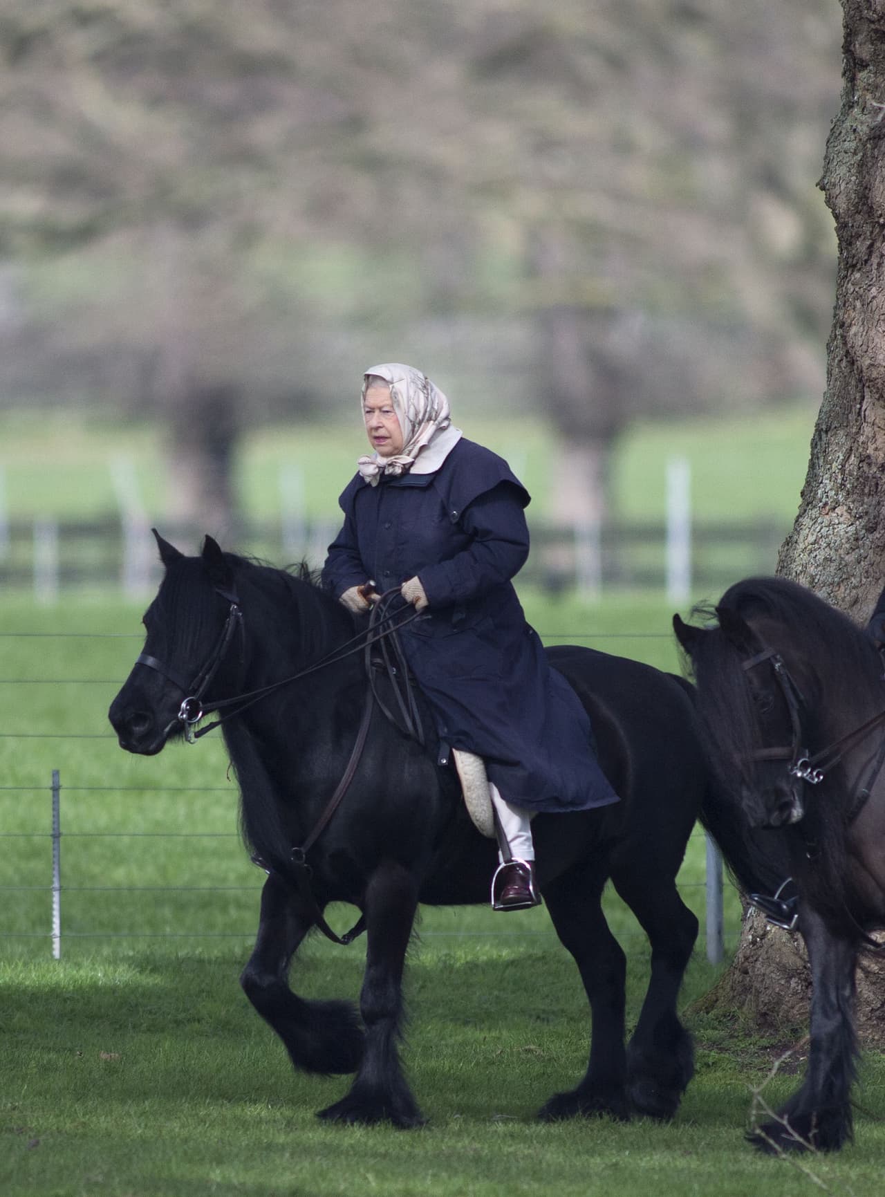 Y es que la hija del príncipe William y Kate Middleton ha visto a su bisabuela, la reina Isabel II, montar regularmente, por lo que está "obsesionada con los caballos", según reportó 
<a href="https://www.dailymail.co.uk/femail/article-7768791/Princess-Charlotte-asked-pony-Christmas.html" target="_blank">Daily Mail</a> citando a la revista Closer.
