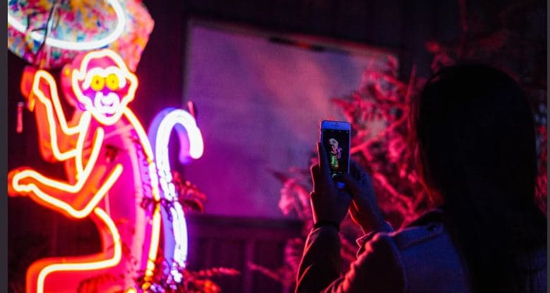 Los asistentes que compren boletos pueden disfrutar de comida, cócteles artesanales, música en vivo, disfraces, baile y más actividades para el público.