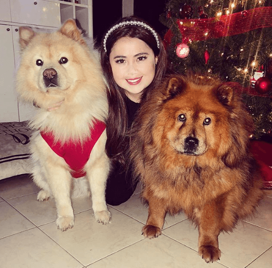 Junto a Bimba y Bantú en el árbol de navidad, la actriz dedicó el siguiente mensaje a sus fans. “(…) Bimba, Bantu y yo les deseamos una hermosa Navidad en compañía de todos sus seres queridos!!! ¡¡¡Recuerden apapachar a sus peludos esta Navidad y si van a regalar uno no compren, adopten por favor y que sea una adopción responsable!!! Un perrito NO es un juguete, es un ser vivo que necesita de todo nuestro cariño y cuidados. Bimba, Bantu y yo deseamos que esta Navidad todos los perritos encuentren refugio y una familia que los ame”, escribió. 
<br>