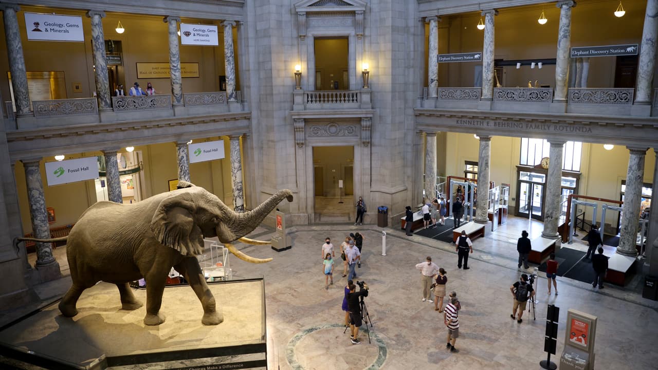 Museos y zoológicos del Smithsonian no exigen mascarillas ni pruebas de vacunación
