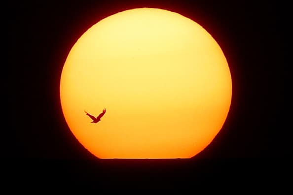 Summer Blues: cuando llega la depresión en época de verano