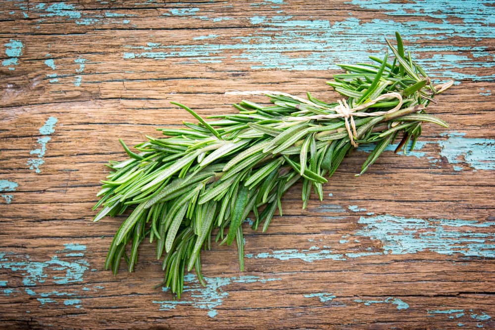Te daremos dos formas de usar estas hierbas para el ritual. La primera será usando sus hojas, así que separa las que vayas a usar y velas machacando.